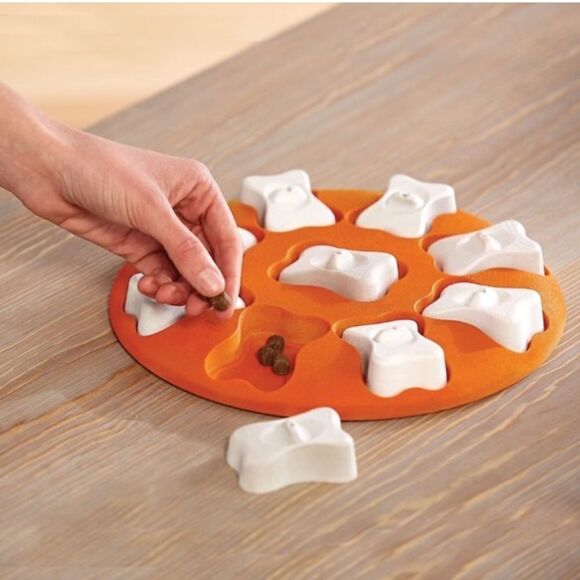 Outward hound Dog Smart Hide, Seek & Treat! skill level 1 puzzle - Picture 5 of 13